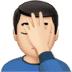 :man_facepalming:t2: :man_facepalming:t2: