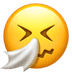 :sneezing_face: :sneezing_face: